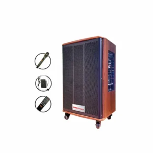 Âm thanh di động không dây INNOSMART SM-A789