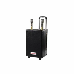 Âm thanh di động không dây INNOSMART TD-B790